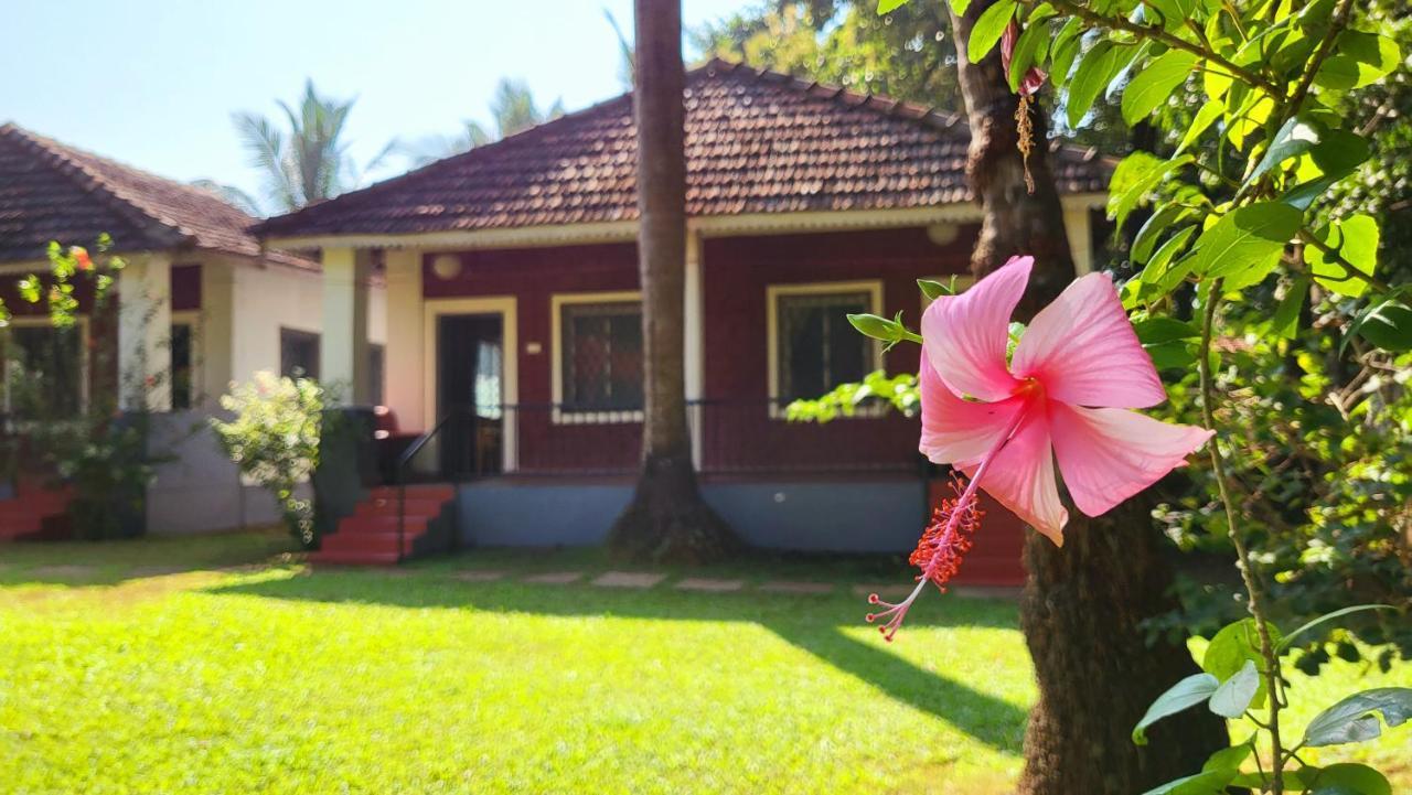 Garden Villa Vagator Exteriör bild